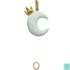 COUSSIN MUSICAL LUNE