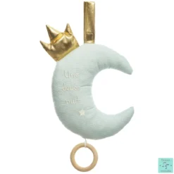 COUSSIN MUSICAL LUNE