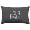COUSSIN 40X60CM IMPRIME DEPERLANT LAFIESTA