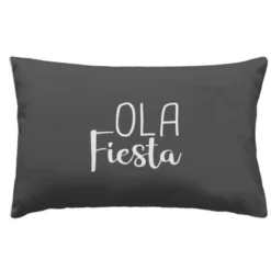 COUSSIN 40X60CM IMPRIME DEPERLANT LAFIESTA