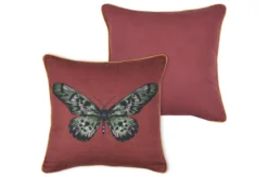 CURIOSITY COUSSIN 40X40CM GRENACHE