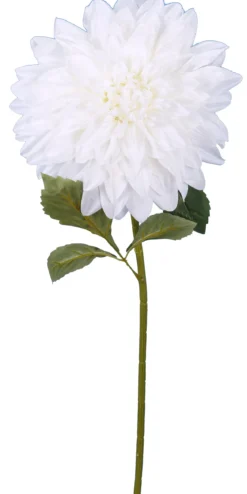 DAHLIA CREME H.95CM