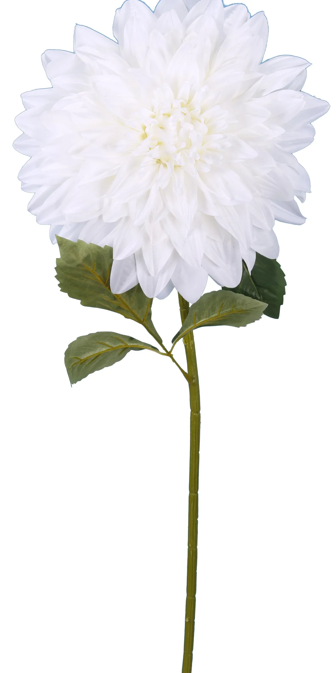 DAHLIA CREME H.95CM