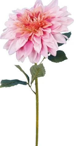 DAHLIA ROSE H.95CM
