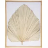 DECO MURALE PALMIER WONDER D.49X61CM