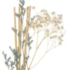 DIFFUSEUR VERRE FLORA GERANIUM 100ML