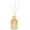 DIFFUSEUR VERRE SANA TERRE D AILLEURS 150ML