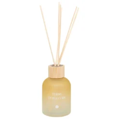 DIFFUSEUR VERRE SANA TERRE D AILLEURS 150ML