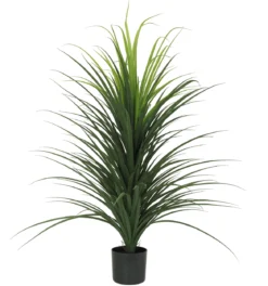 DRACENA EN POT PLASTIQUE NOIR H120CM