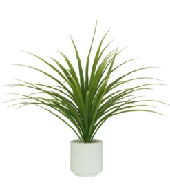 DRACENA 61 FEUILLES H95CM