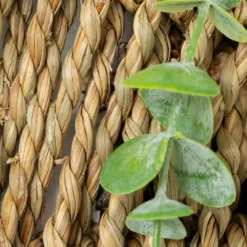 EUCALYPTUS A SUSPENDRE ZEA POT NATUREL H.70CM