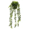 EUCALYPTUS EN POT MERLY H.51CM