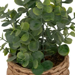 EUCALYPTUS POT CIMENT TRESSE JAYE H.27CM