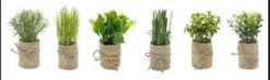 FEUILLAGE POT TOILE JUTE H16CM