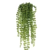 FEUILLAGE RETOMBANT POT PLASTIQUE NOIR POT H.50CM