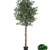 FICUS 1512 FEUILLES POT PLASTIQUE NOIR H.210CM