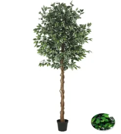 FICUS 1512 FEUILLES POT PLASTIQUE NOIR H.210CM
