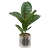 FICUS POT CERAMIQUE ARGENT SKY H.54CM