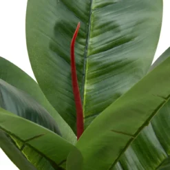 FICUS POT CERAMIQUE ARGENT SKY H.54CM