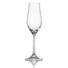 6 FLUTES NEO 20CL