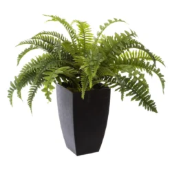 FOUGERE POT PLASTIQUE H.55CM