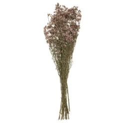 GRAMINEE H.57CM