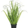 GRAMINEES 5 POMPONS BLANCS POT H.40CM