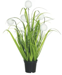 GRAMINEES 5 POMPONS BLANCS POT H.40CM