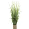 GRAMINEES POT CORDE H65CM