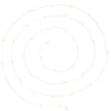 GUIRLANDE 40 MICROLED CHROME BLANC CHAUD