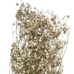 GYPSOPHILE NATUREL SECHE H.58CM