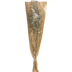 GYPSOPHILE NATUREL SECHE H.58CM