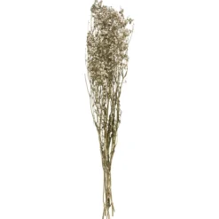 GYPSOPHILE NATUREL SECHE H.58CM
