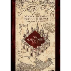 HARRY POTTER CARTE MAXI POSTER 61X91.5CM