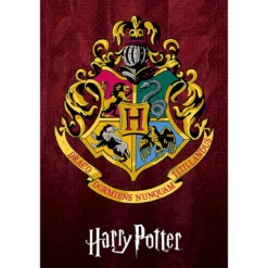 HARRY POTTER HOGWARTS ECOLE MAXI POSTER 61X91.5CM