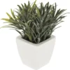 HERBE POT CERAMIQUE OKO BLANC H.15CM