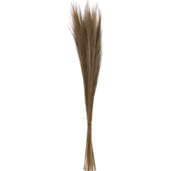 HERBES SECHEES ORIGINES H.110CM