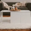 IMAGE TABLE BASSE BLANC 100X40X60CM