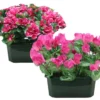 JARDINIERE AZALEES OU CYCLAMENS H.28CM