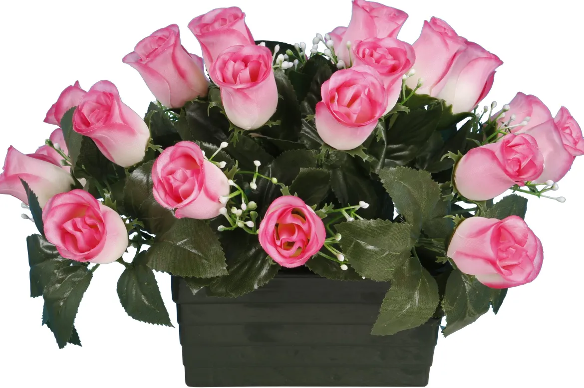 JARDINIERE BOUTON ROSE