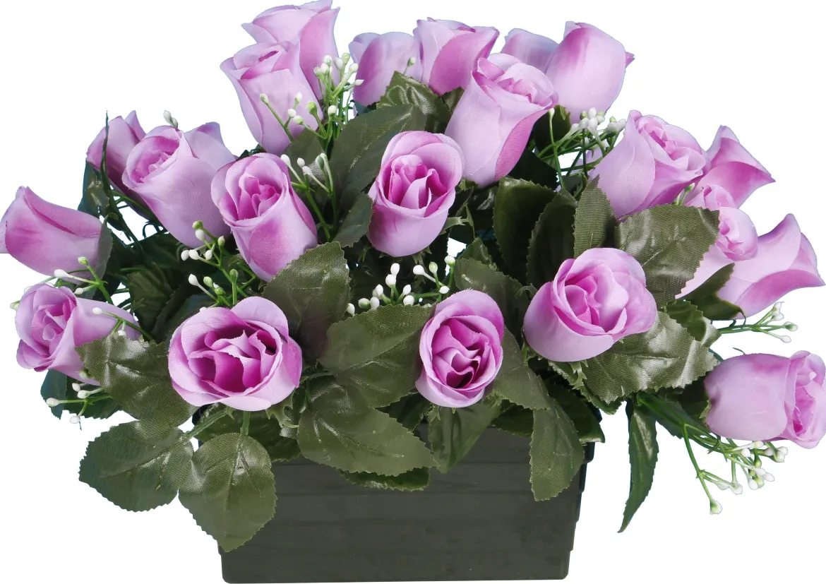 JARDINIERE BOUTON ROSE