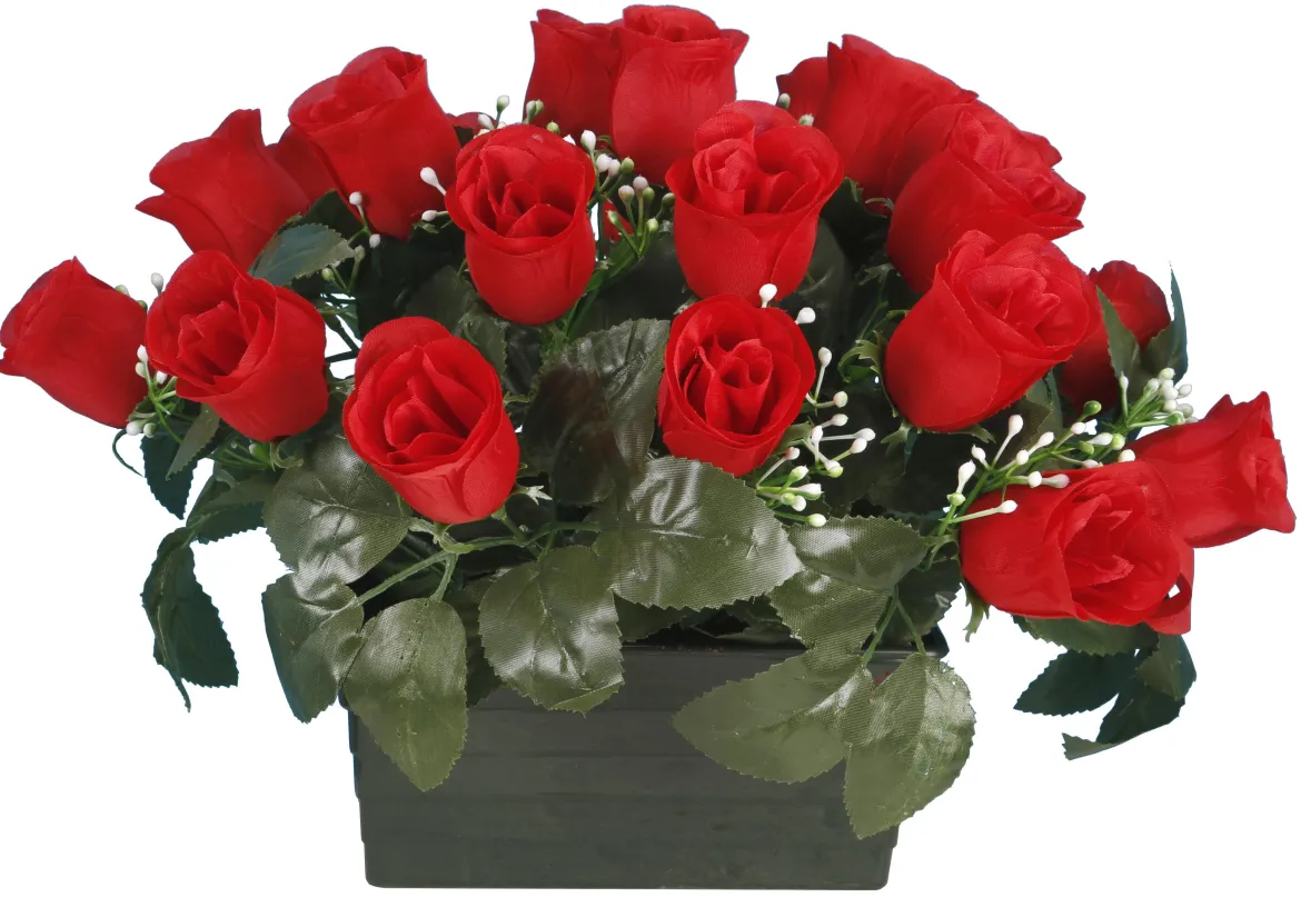 JARDINIERE BOUTON ROSE
