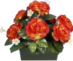 JARDINIERE CAMELIAS