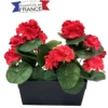 JARDINIERE DE GERANIUMS L24CM H28CM ROUGE ET ROSE