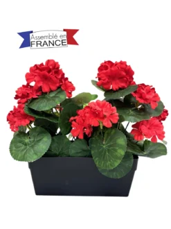 JARDINIERE DE GERANIUMS L24CM H28CM ROUGE ET ROSE