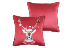 JOYEUX COUSSIN 40X40CM
