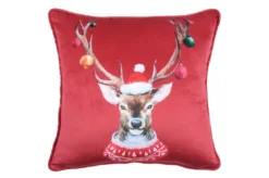 JOYEUX COUSSIN 40X40CM