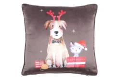 JOYEUX COUSSIN 40X40CM