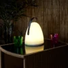 LAMPE EXTERIEURE AVEC POIGNEE 21X30CM