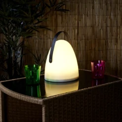 LAMPE EXTERIEURE AVEC POIGNEE 21X30CM